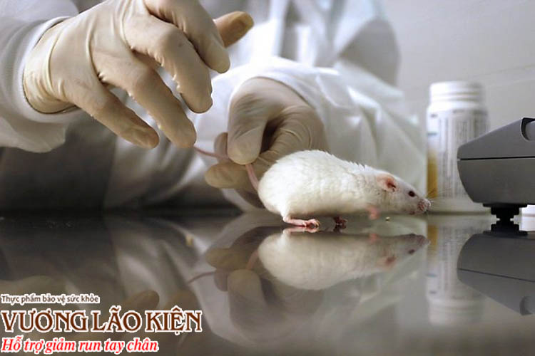 Các nhà khoa học Mỹ đã thử nghiệm thành công thuốc NLY01 điều trị bệnh Parkinson trên chuột