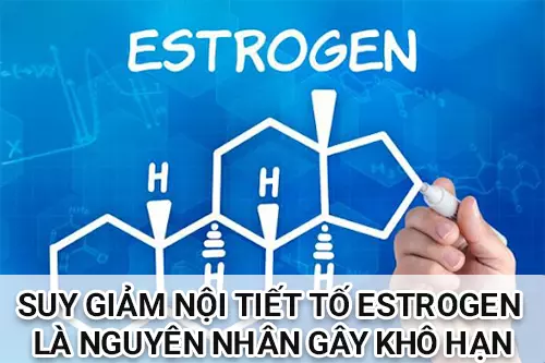 Suy-giam-noi-tiet-to-estrogen-la-nguyen-nhan-pho-bien-gay-kho-han-o-phu-nu