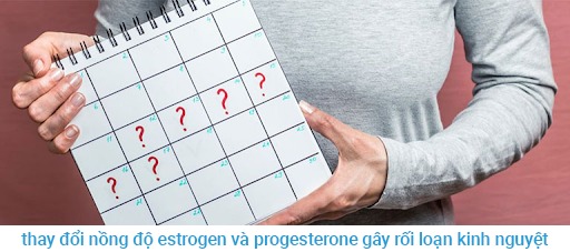 Su-thay-doi-nong-do-estrogen-va-progesterone-co-the-gay-roi-loan-chu-ky-kinh-nguyet