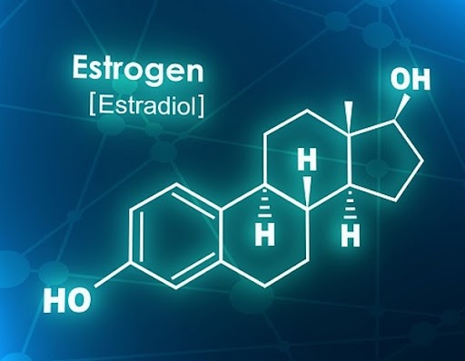 Hormone estrogen có vai trò gì - Bạn đã biết chưa?