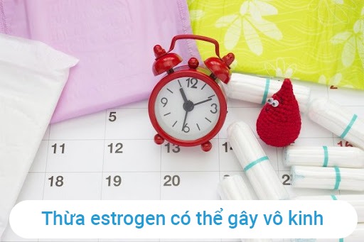 Thua-estrogen-co-the-gay-vo-kinh-o-phu-nu 