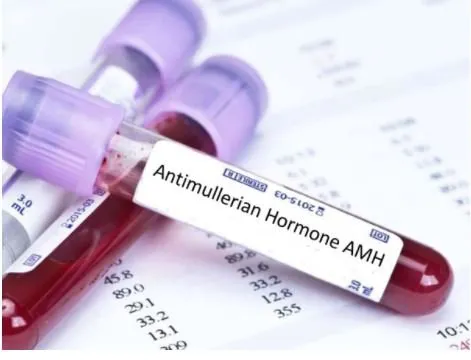 AMH thấp có thể ảnh hưởng đến khả năng mang thai của nữ giới