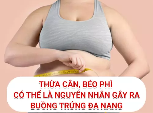 thua-can-beo-phi-co-the-la-nguyen-nhan-gay-ra-buong-trung-da-nang.webp