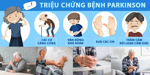 Bước tiến mới trong việc điều trị bệnh Parkinson  Báo Nghệ An điện tử