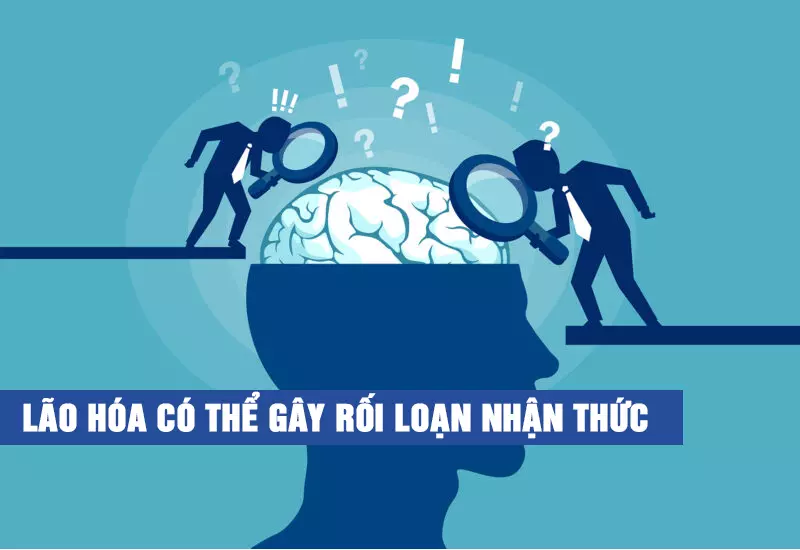 Roi-loan-nhan-thuc-khoi-phat-tu-su-suy-thoai-te-bao-than-kinh-nao