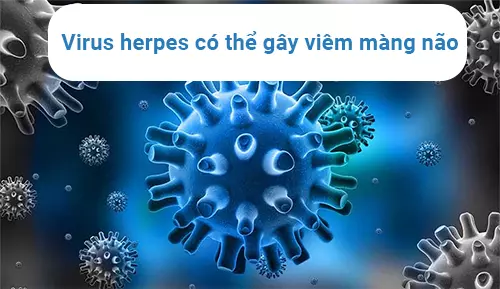 Virus-co-the-xam-nhap-vao-co-the,-di-chuyen-trong-mau-va-gay-viem-mang-nao