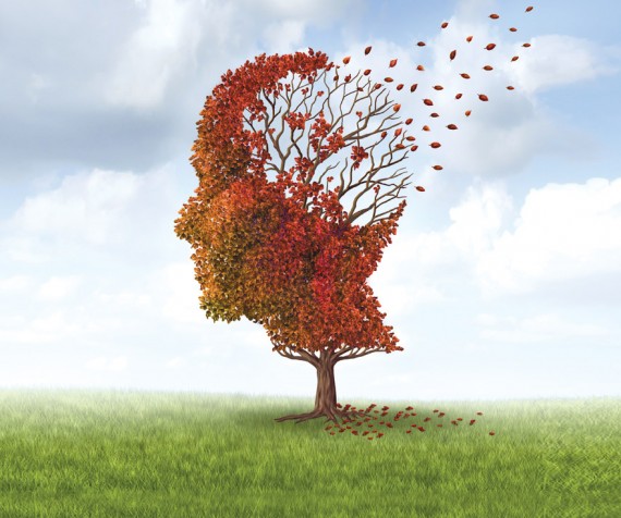 Mất trí nhớ sau chấn thương sọ não, yên tâm đã có giải pháp từ thảo dược!