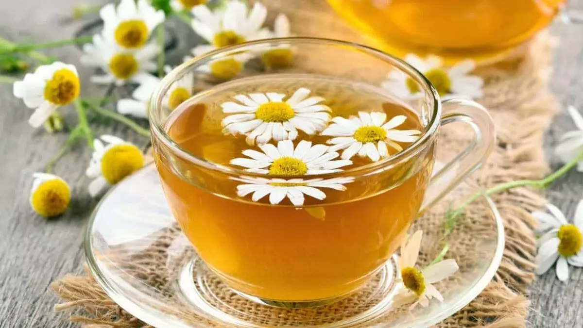 Uống trà hoa cúc giúp giảm đau dạ dày 