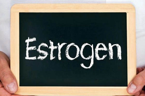 Bổ sung estrogen giúp cải thiện tình trạng bốc hỏa tiền mãn kinh
