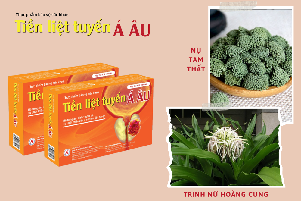 Tiền Liệt Tuyến Á Âu giúp hỗ trợ điều trị bệnh phì đại tuyến tiền liệt hiệu quả