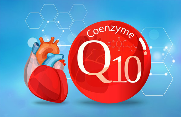 Coenzyme Q10-chìa khóa cho một trái tim khỏe mạnh 
