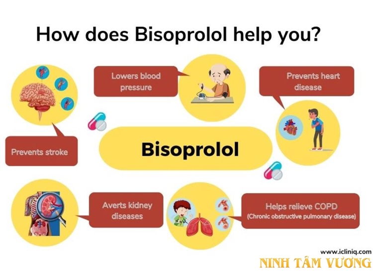 Các công dụng chính của Bisoprolol