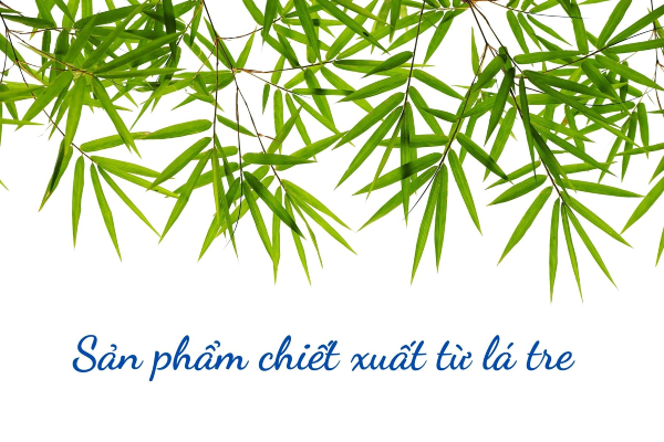 cai-thien-ran-da-bung-bang-san-pham-chiet-xuat-la-tre