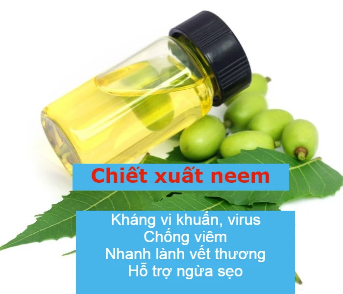 Chiet-xuat-neem-khang-khuan-sung-tay-khi-bi-muoi-dot-hieu-qua.webp