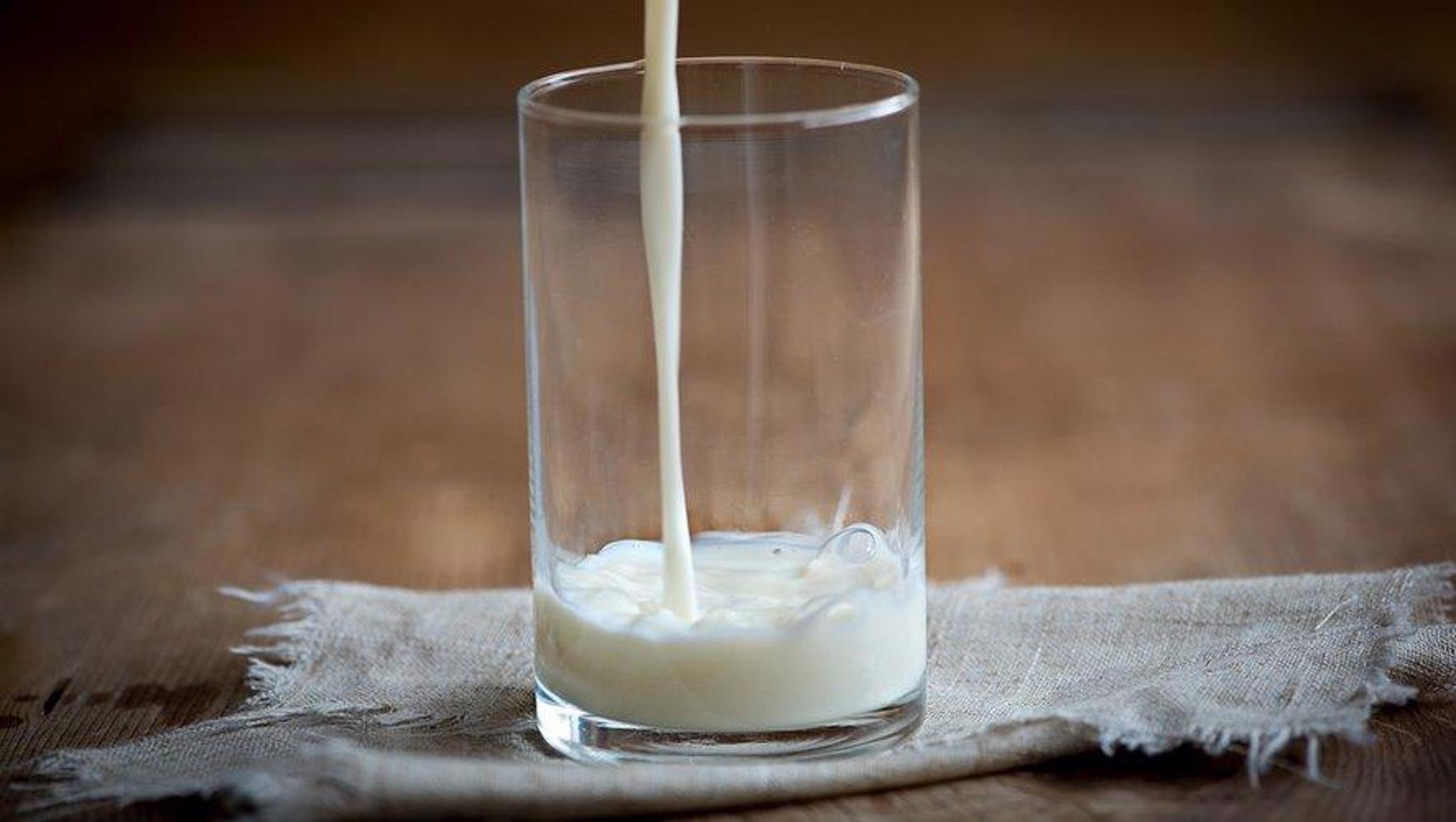 Có nên uống sữa trước khi uống rượu không? TÌM HIỂU NGAY!