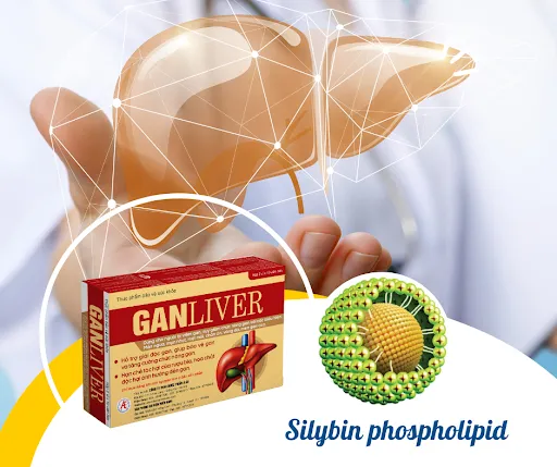 Đột phá mới giúp cải thiện viêm gan nhờ hoạt chất Silybin phospholipid có trong Ganliver