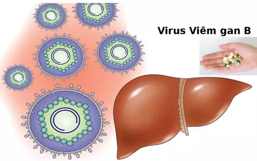 Virus-viem-gan-B-va-virus-viem-gan-C-da-co-thuoc-dieu-tri.webp