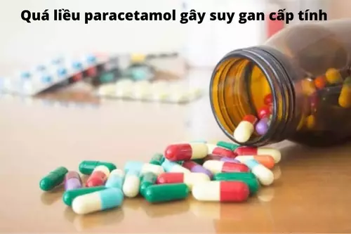 suy-gan-cap-tinh-co-the-do-qua-lieu-paracetamol.webp