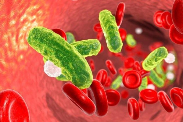 Vi khuẩn trong khoang miệng xâm nhập vào máu gây nhiễm trùng huyết