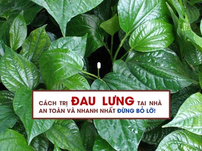 Cách trị đau lưng tại nhà an toàn và nhanh nhất đừng bỏ lỡ!